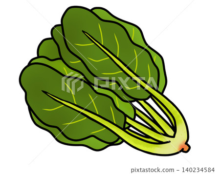 簡單的菠菜圖 簡單的菠菜圖 140234584