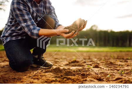 Farmer's hands take the soil from field and check its quality. Experienced male hands hold the soil. 140234791