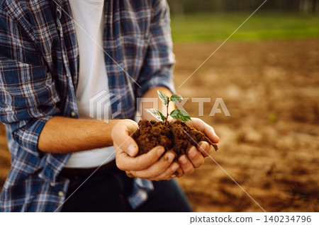 Close-up of a farmer's hands holding a young plant with soil. Gardening concept, agriculture. 140234796