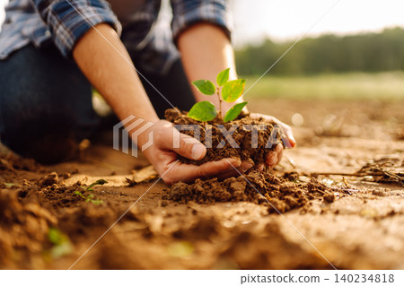 Close-up of a farmer's hands holding a young plant with soil. Gardening concept, agriculture. Close-up of a farmer's hands holding a young plant with soil. Gardening concept, agriculture. 140234818