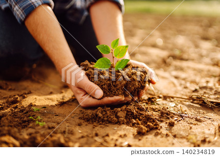 Close-up of a farmer's hands holding a young plant with soil. Gardening concept, agriculture. Close-up of a farmer's hands holding a young plant with soil. Gardening concept, agriculture. 140234819