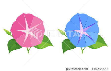 牽牛花的插圖 140234855