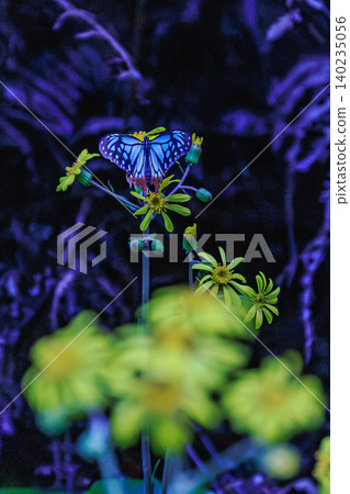 A chestnut tiger butterfly spreads its wings deep within a fantastical forest. A chestnut tiger butterfly spreads its wings deep within a fantastical forest. 140235056