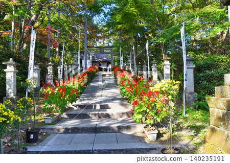 Kusatsu Onsen, Shirane Shrine: Beautiful autumn scenery (Kusatsu Town, Agatsuma District, Gunma Prefecture) Kusatsu Onsen, Shirane Shrine: Beautiful autumn scenery (Kusatsu Town, Agatsuma District, Gunma Prefecture) 140235191