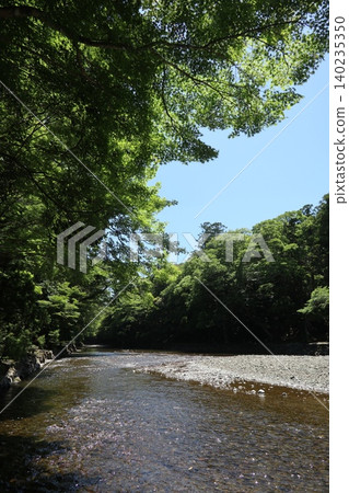 Pilgrimage to Ise, the Isuzu River at the Inner Shrine of Ise Grand Shrine (Imperial Grand Shrine) Pilgrimage to Ise, the Isuzu River at the Inner Shrine of Ise Grand Shrine (Imperial Grand Shrine) 140235350