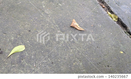 A top-down angle reveals a weathered grey concrete surface. Scattered dry leaves rest on the gritty texture, creating a minimalist outdoor scene. This background captures natural decay, industrial A top-down angle reveals a weathered grey concrete surface. Scattered dry leaves rest on the gritty texture, creating a minimalist outdoor scene. This background captures natural decay, industrial 140235667