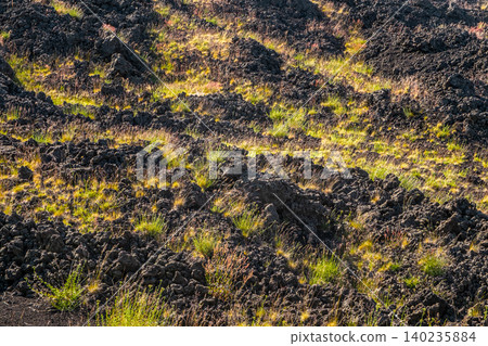 Lava Field Sunrise Lava Field Sunrise 140235884