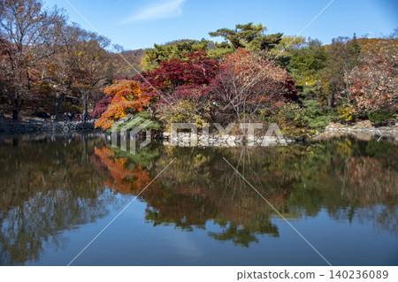 昌慶宮景色 昌慶宮景色 140236089