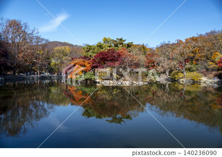 昌慶宮景色 昌慶宮景色 140236090