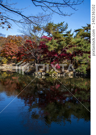 View of Changgyeonggung Palace View of Changgyeonggung Palace 140236102