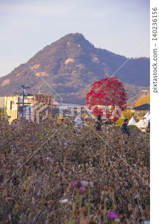 Tourist scenery in Seoul, South Korea 140236156