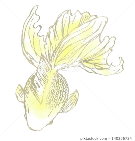 金魚黃 金魚黃 140236724