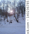 Winter sunlight filtering through the trees and the forest scenery in a snowy landscape. 140236785