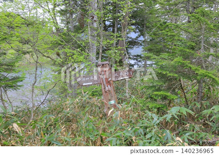 奧澤努馬南岸健行路線 奧澤努馬南岸健行路線 140236965