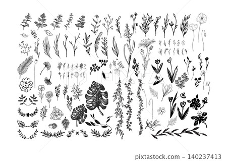 Hand Drawn Botanical Floral and Foliage Vector Collection 140237413