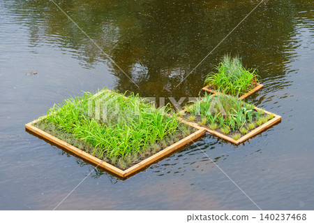 Floating wetland islands with plants on water. Bio purification of water, ecosystem protection Floating wetland islands with plants on water. Bio purification of water, ecosystem protection 140237468