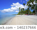 Dumaluan Beach, Panglao Island, Bohol Province, Philippines 140237666