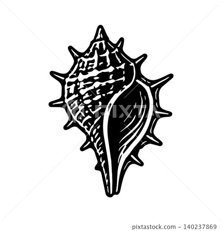 Vector beach illustration for sea shell design and isolated nature icon. Silhouette water ocean for linocut drawing vector and graphic vintage stamp. Vector white logo for sea art beach Vector beach illustration for sea shell design and isolated nature icon. Silhouette water ocean for linocut drawing vector and graphic vintage stamp. Vector white logo for sea art beach 140237869