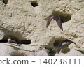 The swallows are sitting near the hole. 140238111