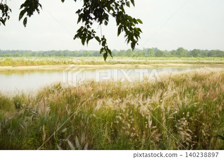 Rapti River and grassland scenery in Chitwan, Nepal Rapti River and grassland scenery in Chitwan, Nepal 140238897