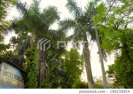Tropical scenery of Souraha village, Nepal Tropical scenery of Souraha village, Nepal 140238954
