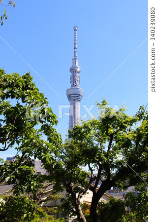 從墨田區各處看到的東京晴空塔 從墨田區各處看到的東京晴空塔 140239080