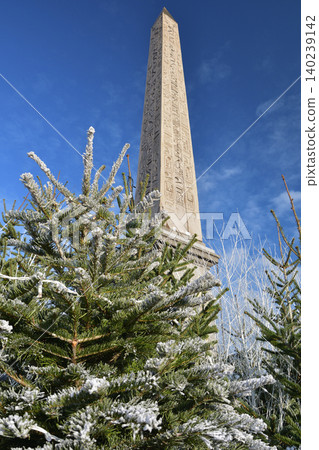 Obelisk and Christmas tree in Place de la Concorde, Paris: A winter scene (January 2, 2021) Obelisk and Christmas tree in Place de la Concorde, Paris: A winter scene (January 2, 2021) 140239142