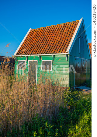 Traditional green Dutch barn with tiled roof behind tall dry reeds at sunset Traditional green Dutch barn with tiled roof behind tall dry reeds at sunset 140239420