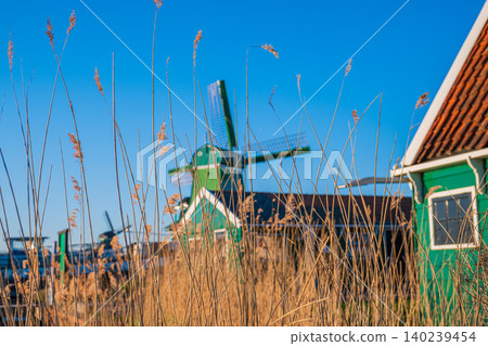 Scenic Dutch windmill behind dry reeds with beautiful bokeh effect at sunset Scenic Dutch windmill behind dry reeds with beautiful bokeh effect at sunset 140239454