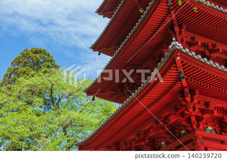[Minobu-san] Fresh greenery and the five-story pagoda [Kuonji Temple] 140239720