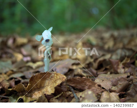 The lovely Monotropa uniflora (silver dragon grass) that sprouted in May. The lovely Monotropa uniflora (silver dragon grass) that sprouted in May. 140239987