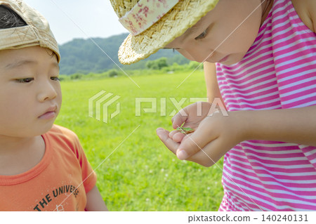 一對兄妹在夏日的草地上觀賞樹蛙。 一對兄妹在夏日的草地上觀賞樹蛙。 140240131