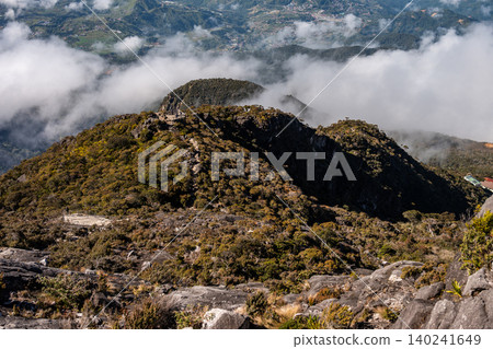 Scenery view of the high altitude forest in Kinabalu national park of Malaysia. Scenery view of the high altitude forest in Kinabalu national park of Malaysia. 140241649