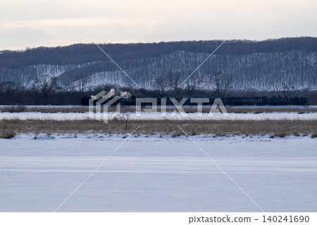 The SL Winter Marshland Train runs through the Kushiro Marshland in winter. The SL Winter Marshland Train runs through the Kushiro Marshland in winter. 140241690