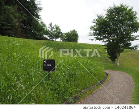 美麗的草坡點綴著這座歷史悠久的公園。別緻的指示牌和步行小徑將您引向基托拉古墓。 140241864