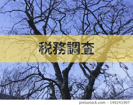 背景資料,文字為“稅務審計” 背景資料,文字為“稅務審計” 140241907