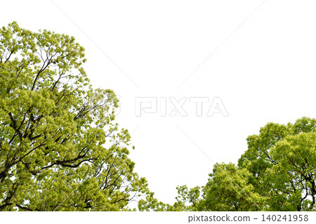 A stock photo with a transparent background and a cutout of lush green trees. A stock photo with a transparent background and a cutout of lush green trees. 140241958
