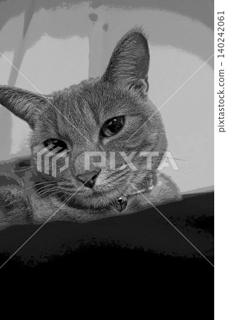sketch style cat cat cat kijitora gray female female female cat female cat healthy pretty healing sketch style cat cat cat kijitora gray female female female cat female cat healthy pretty healing 140242061