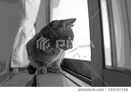 sketch style cat cat cat kijitora gray female female female cat female cat healthy pretty healing sketch style cat cat cat kijitora gray female female female cat female cat healthy pretty healing 140242108