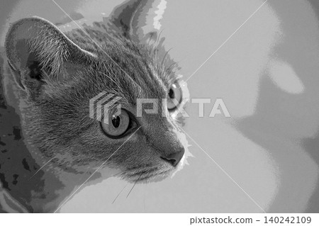 sketch style cat cat cat kijitora gray female female female cat female cat healthy pretty healing sketch style cat cat cat kijitora gray female female female cat female cat healthy pretty healing 140242109