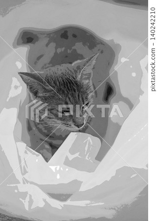 素描 風格 貓 貓 貓 kijitora 灰色 女 女 母貓 母貓 健康 漂亮 癒合 素描 風格 貓 貓 貓 kijitora 灰色 女 女 母貓 母貓 健康 漂亮 癒合 140242210
