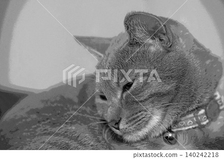 sketch style cat cat cat kijitora gray female female female cat female cat healthy pretty healing sketch style cat cat cat kijitora gray female female female cat female cat healthy pretty healing 140242218