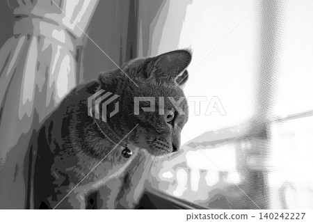 sketch style cat cat cat kijitora gray female female female cat female cat healthy pretty healing sketch style cat cat cat kijitora gray female female female cat female cat healthy pretty healing 140242227