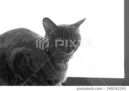 sketch style cat cat cat kijitora gray female female female cat female cat healthy pretty healing sketch style cat cat cat kijitora gray female female female cat female cat healthy pretty healing 140242243