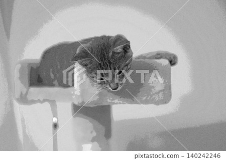 素描 風格 貓 貓 貓 kijitora 灰色 女 女 母貓 母貓 健康 漂亮 癒合 素描 風格 貓 貓 貓 kijitora 灰色 女 女 母貓 母貓 健康 漂亮 癒合 140242246