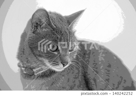 sketch style cat cat cat kijitora gray female female female cat female cat healthy pretty healing sketch style cat cat cat kijitora gray female female female cat female cat healthy pretty healing 140242252