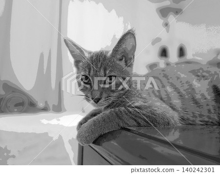 sketch style cat cat cat kijitora gray female female female cat female cat healthy pretty healing sketch style cat cat cat kijitora gray female female female cat female cat healthy pretty healing 140242301