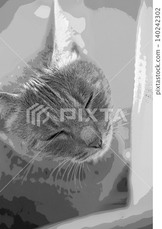 sketch style cat cat cat kijitora gray female female female cat female cat healthy pretty healing sketch style cat cat cat kijitora gray female female female cat female cat healthy pretty healing 140242302