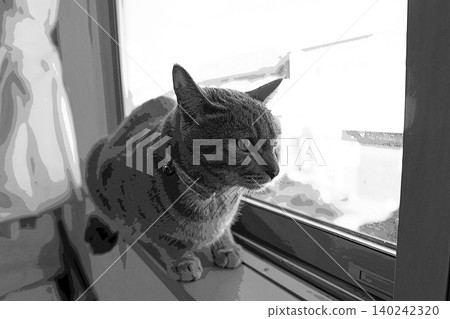 sketch style cat cat cat kijitora gray female female female cat female cat healthy pretty healing sketch style cat cat cat kijitora gray female female female cat female cat healthy pretty healing 140242320