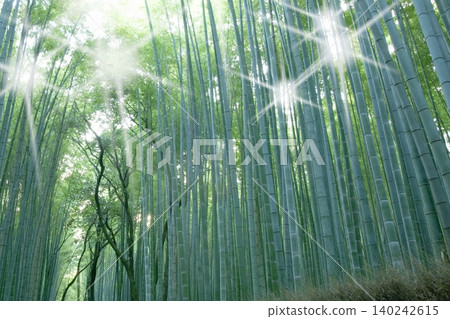 京都嵐山的竹林小徑 140242615